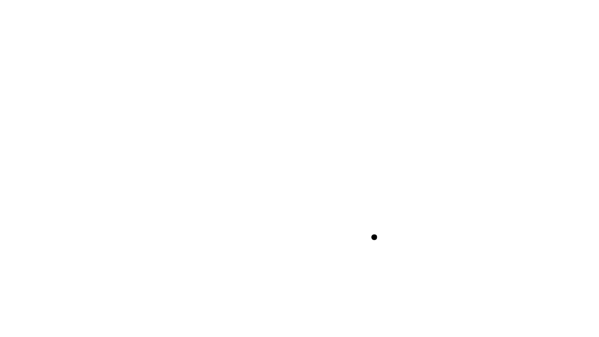 Dashcams Vision 